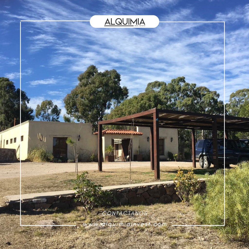 CAMPO 71 HAS JOA Y AGUS (33)